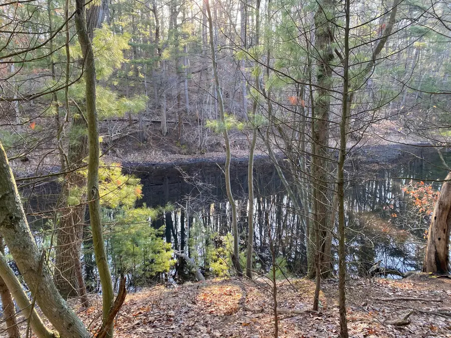 VL Mill Pond Trail, Whitehall, MI 49461 - #3