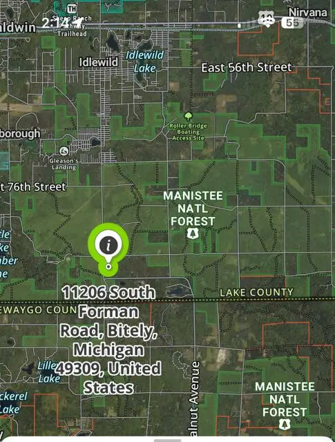 11206 S Forman Road, Idlewild, MI 49642 - #1