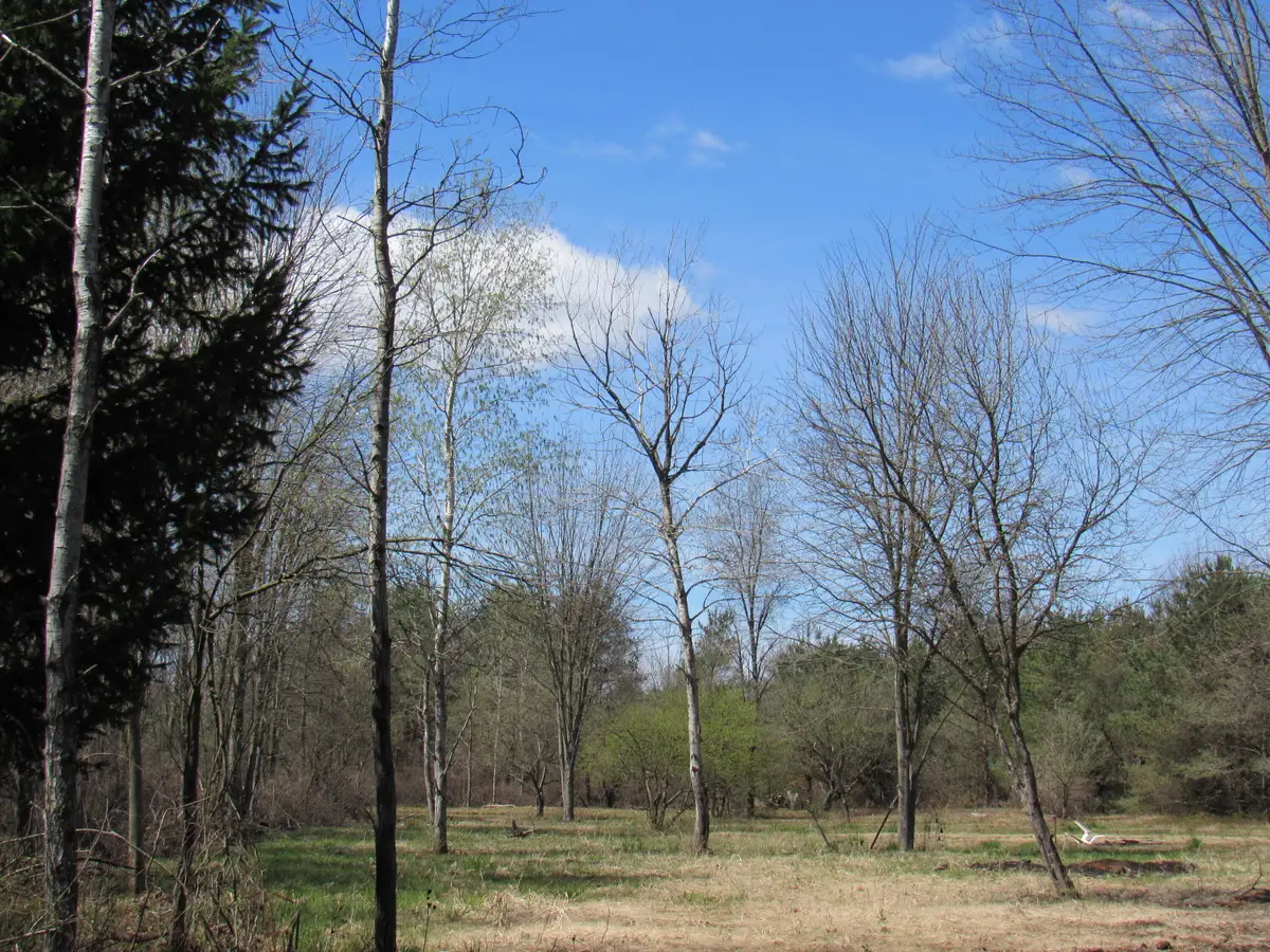 3889 Dalson Road, Twin Lake, MI 49457 - #1