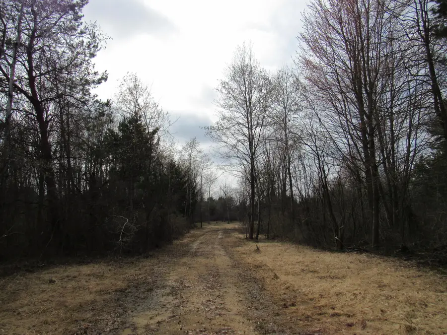 3889 Dalson Road, Twin Lake, MI 49457 - #2