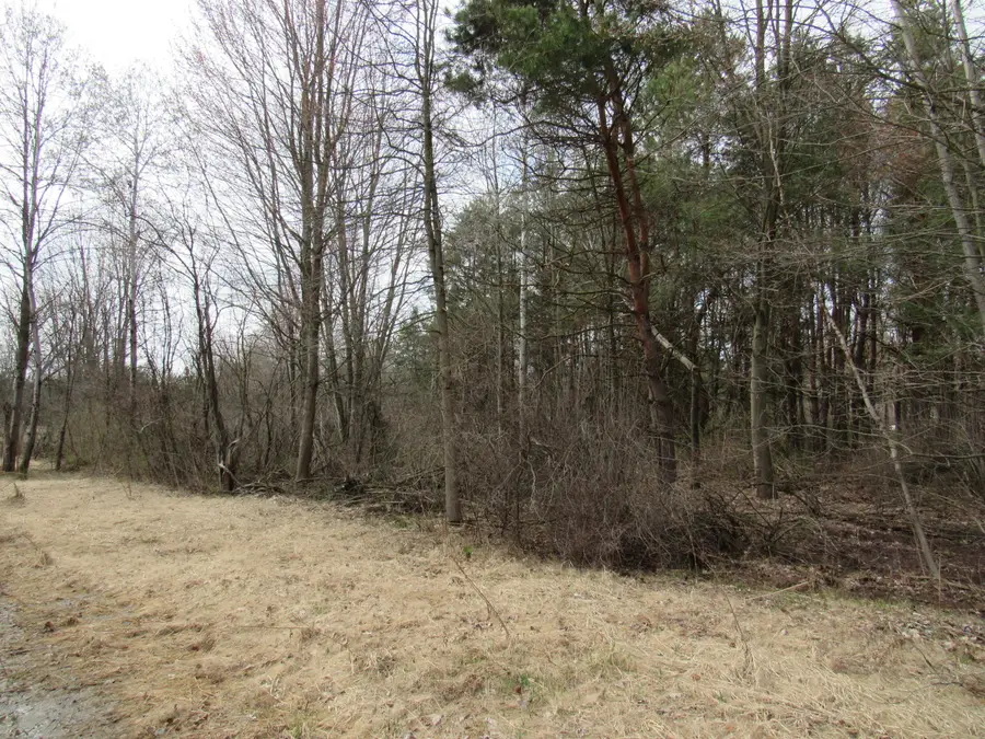 3889 Dalson Road, Twin Lake, MI 49457 - #3