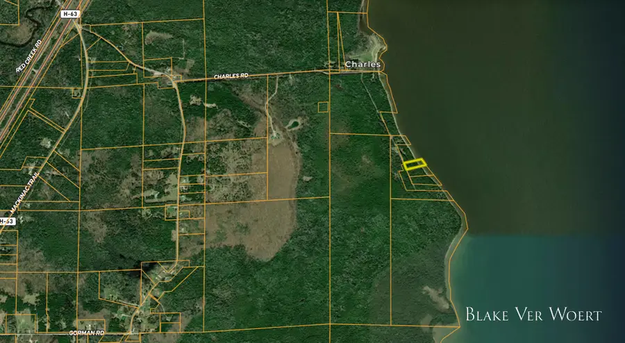 Mackinac Trail, Saint Ignace, MI 49781 - #3