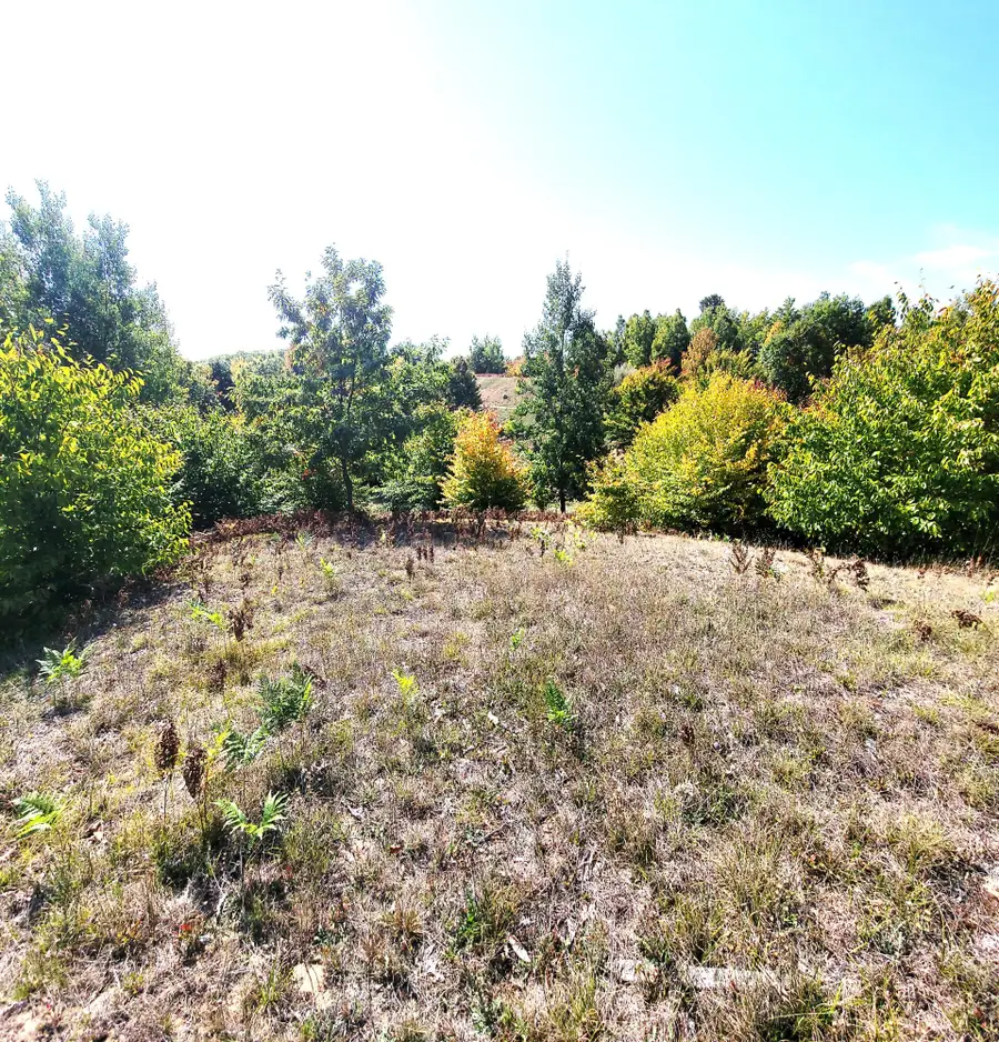 Eagle Ridge Circle #Lot 102, Onekama, MI 49675 - #3