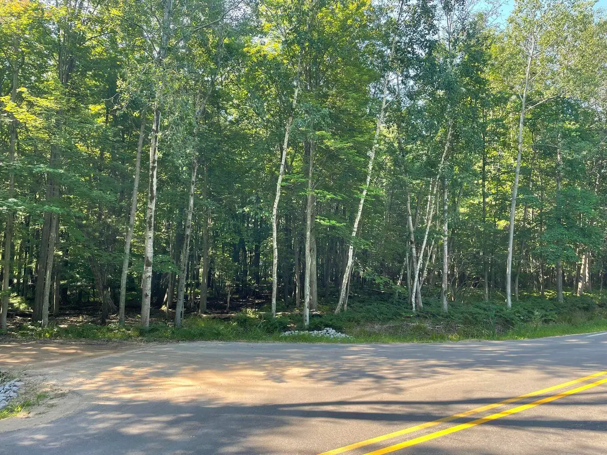 4750 N Ridge Road, Mears, MI 49436 - #1