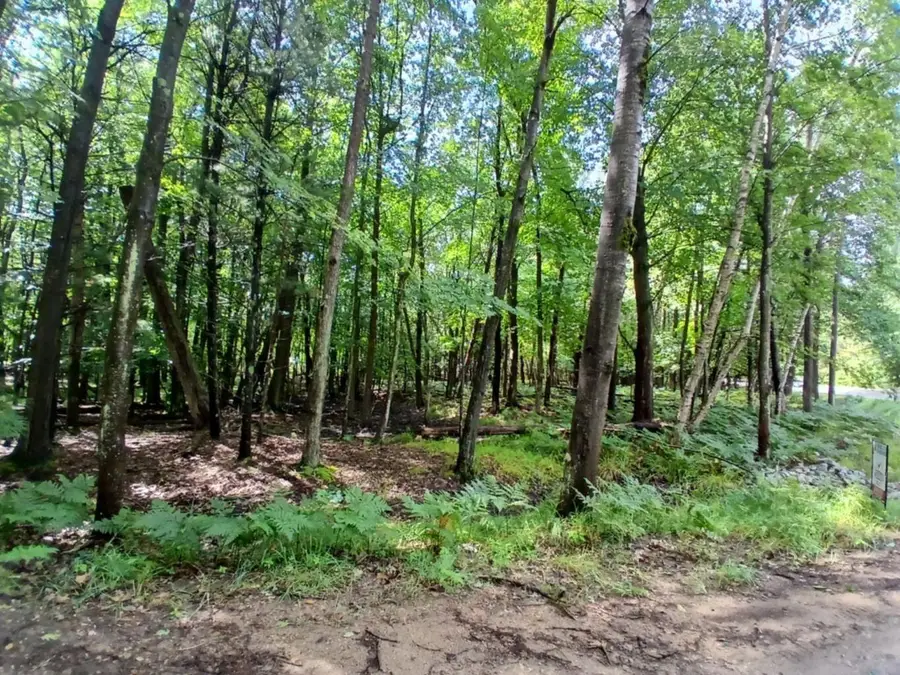 4750 N Ridge Road, Mears, MI 49436 - #2