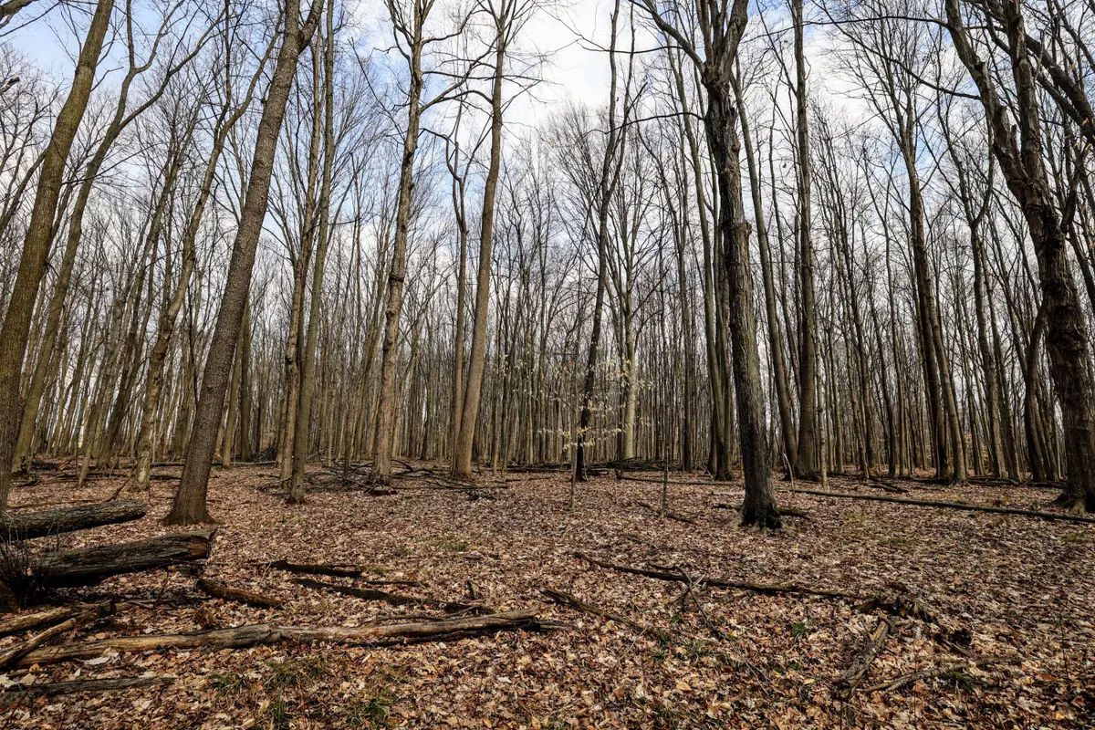 VL 40th Street, Bloomingdale, MI 49026 - #1