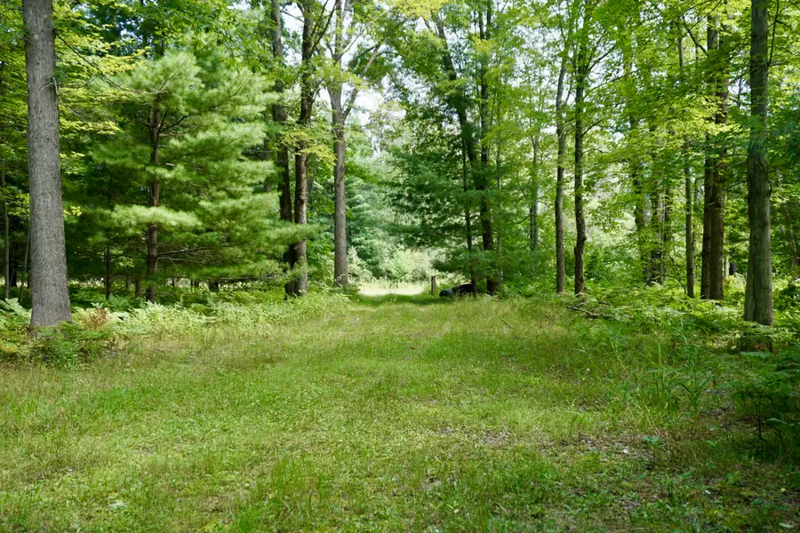 3077 S Tyndall Road, Branch, MI 49402 - #2