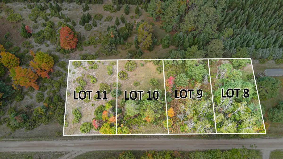 V/L Trout Creek Road, Cheboygan, MI 49721 - #1