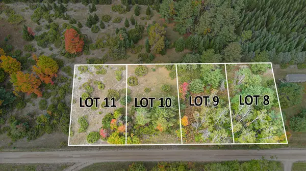 V/L Trout Creek Road, Cheboygan, MI 49721