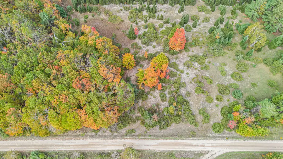 V/L Trout Creek Road, Cheboygan, MI 49721 - #3