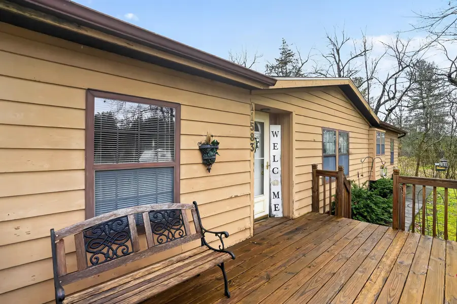 11583 Patch Road, Clarklake, MI 49234 - #3