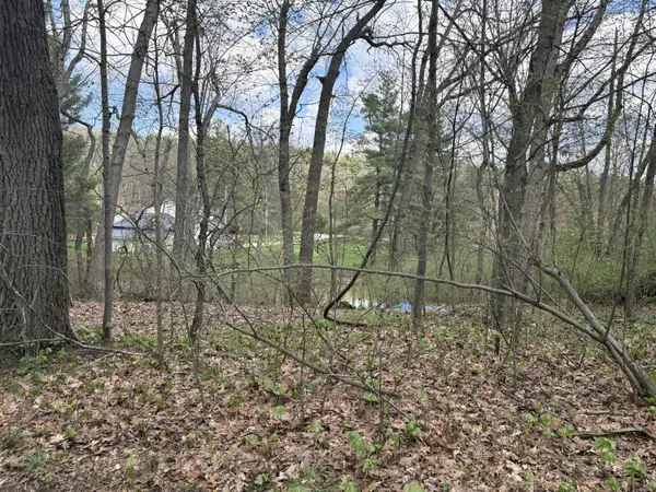 8091 Poplar Drive, Reading, MI 49274