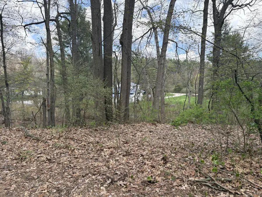 8091 Poplar Drive, Reading, MI 49274 - #2