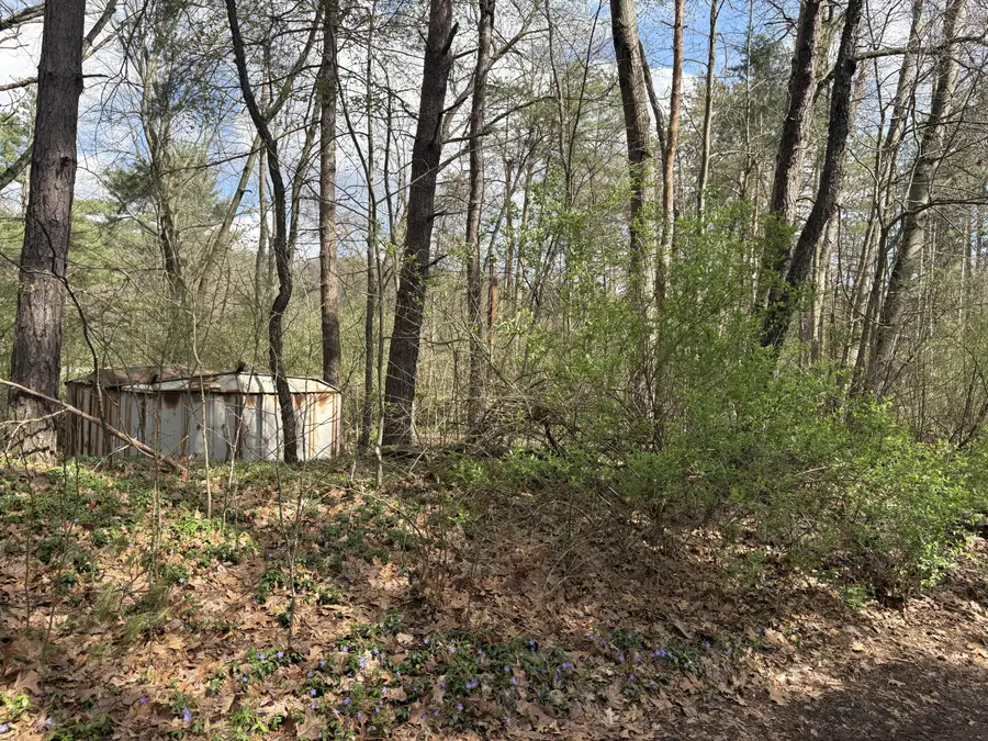 8113 Poplar Drive, Reading, MI 49274 - #3