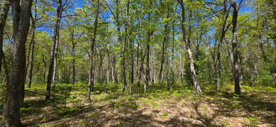 V/L E Koenig Road, Free Soil, MI 49411 - #3