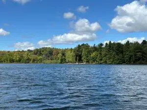 V/L N 176th Avenue, Walkerville, MI 49459 - #2