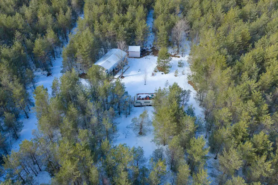 23444 Faylor Road, Copemish, MI 49625 - #3