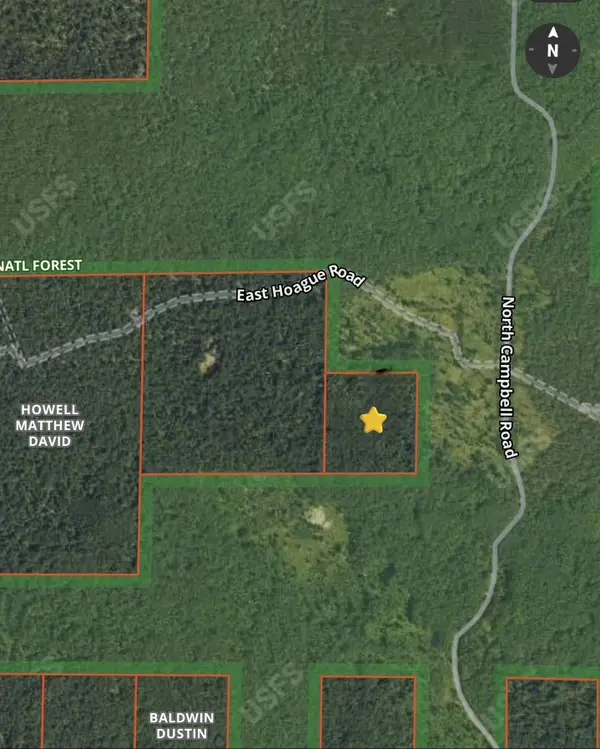 V/L E Hoague Road, Free Soil, MI 49411