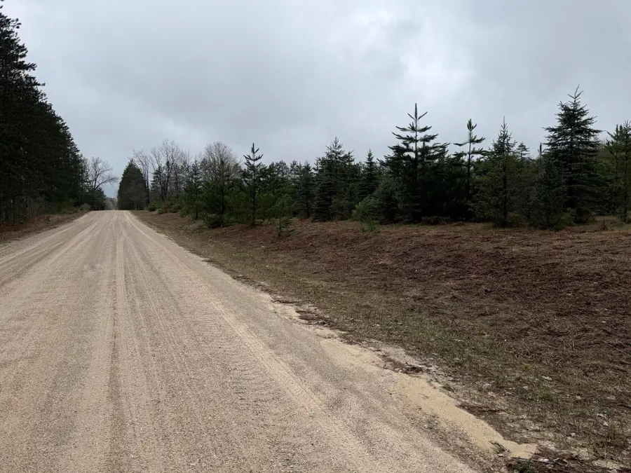 0 N Van Dermullen Road, Lake City, MI 49651 - #2