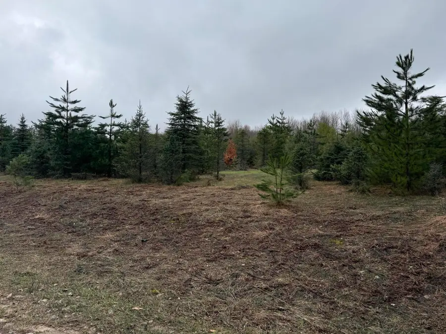 0 N Van Dermullen Road, Lake City, MI 49651 - #3