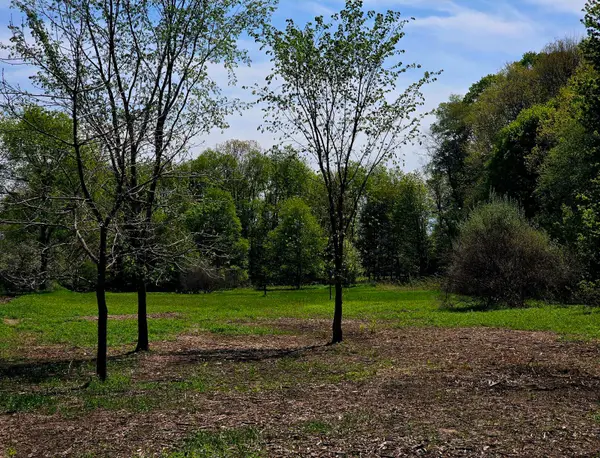 S Baldwin Avenue, White Cloud, MI 49349