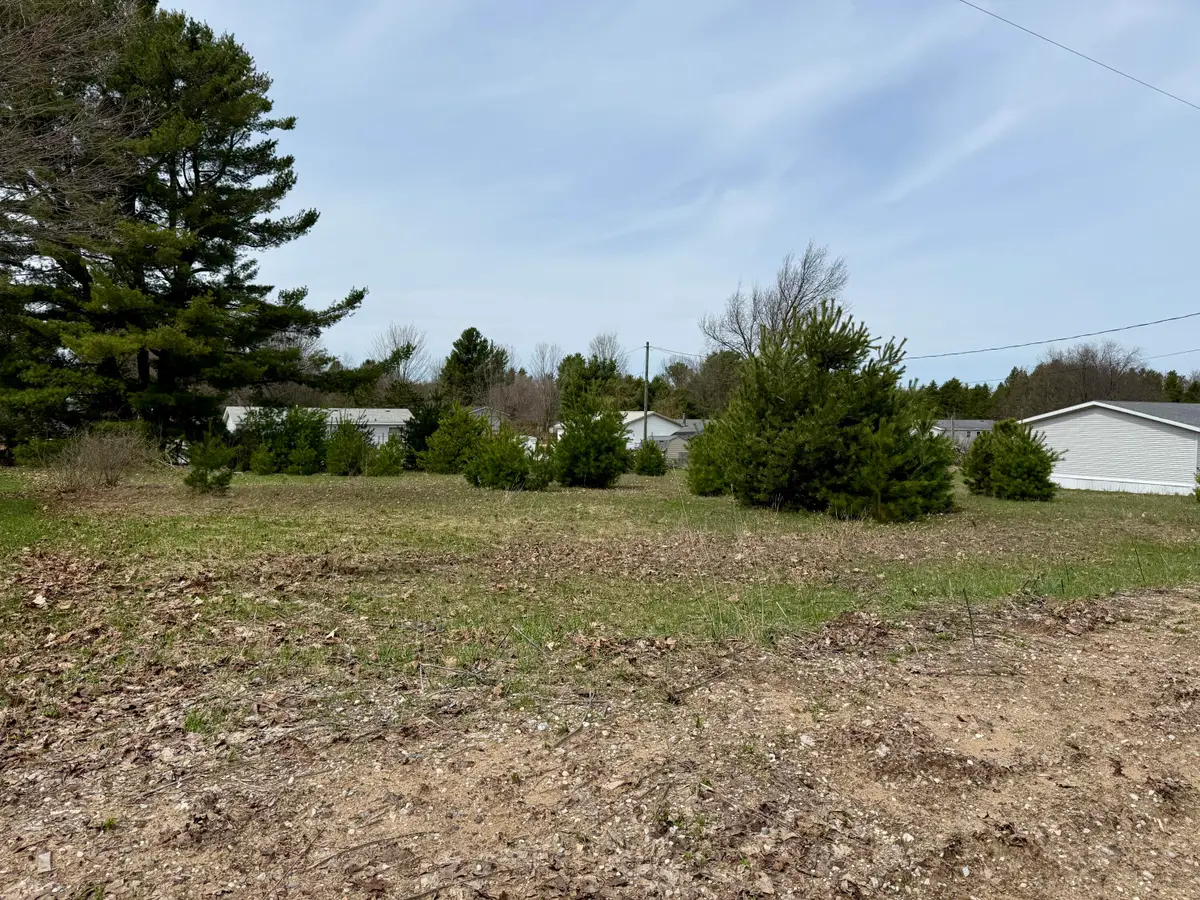 001 Ninth Street, Bear Lake, MI 49614 - #1