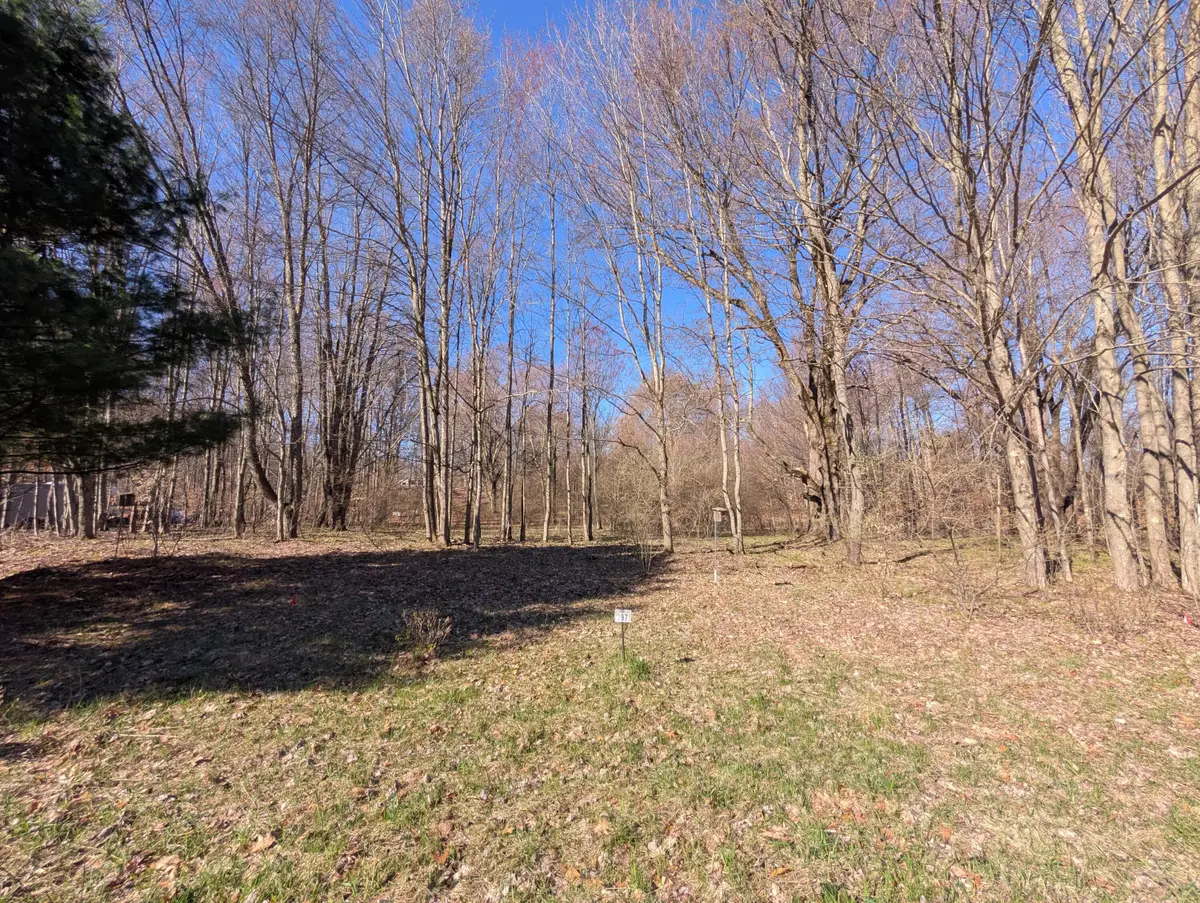 6465 Fox Den #197, Custer, MI 49405 - #1