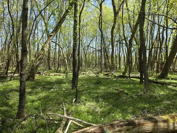 V/l Bellevue, Bellevue, MI 49021