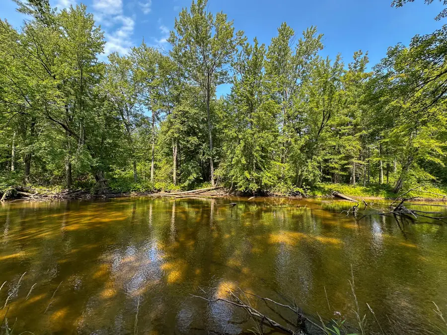 V/L 51.58 Thornapple Trail, Marion, MI 49665 - #2