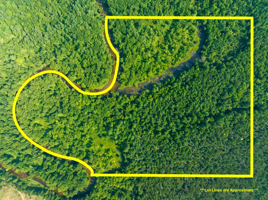 V/L 51.58 Thornapple Trail, Marion, MI 49665 - #3