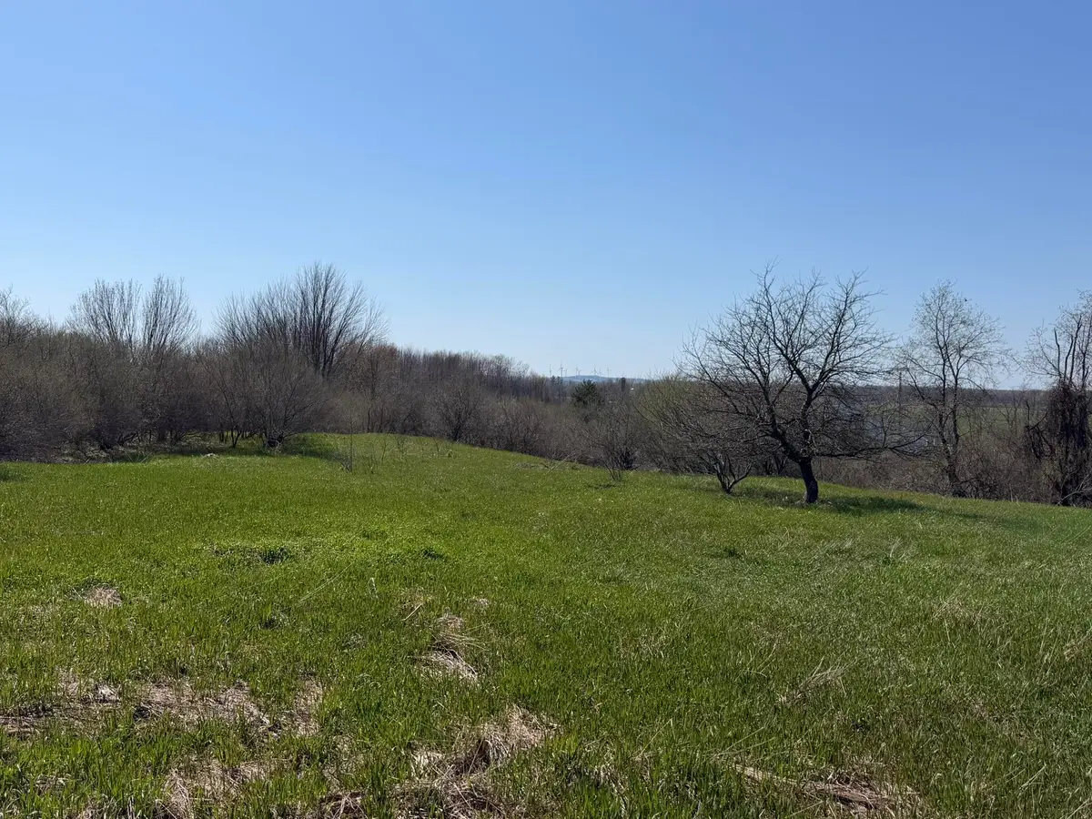 4422 S Ordway Road, Custer, MI 49405 - #1