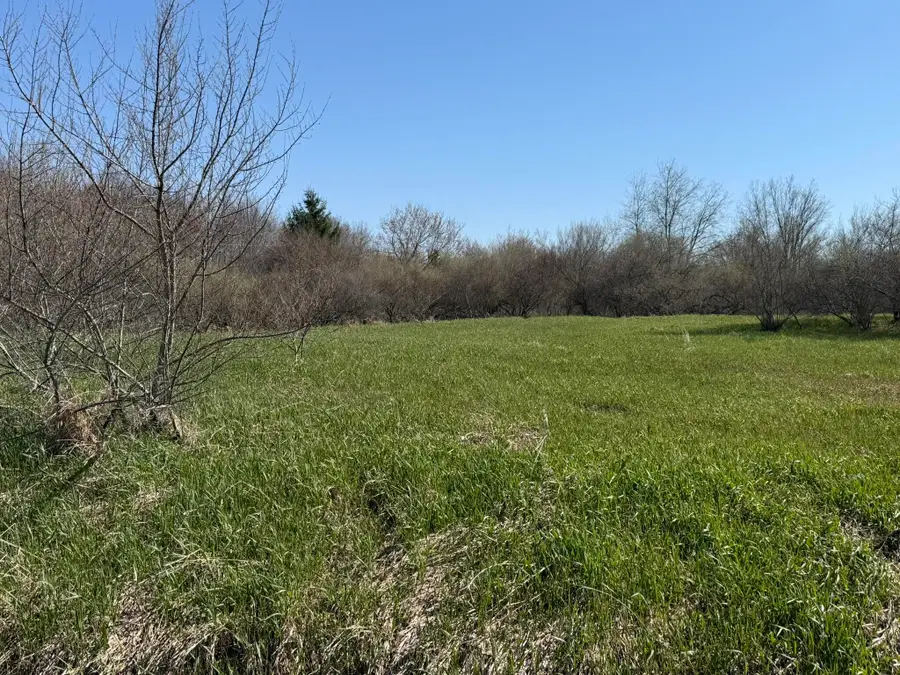 4422 S Ordway Road, Custer, MI 49405 - #3