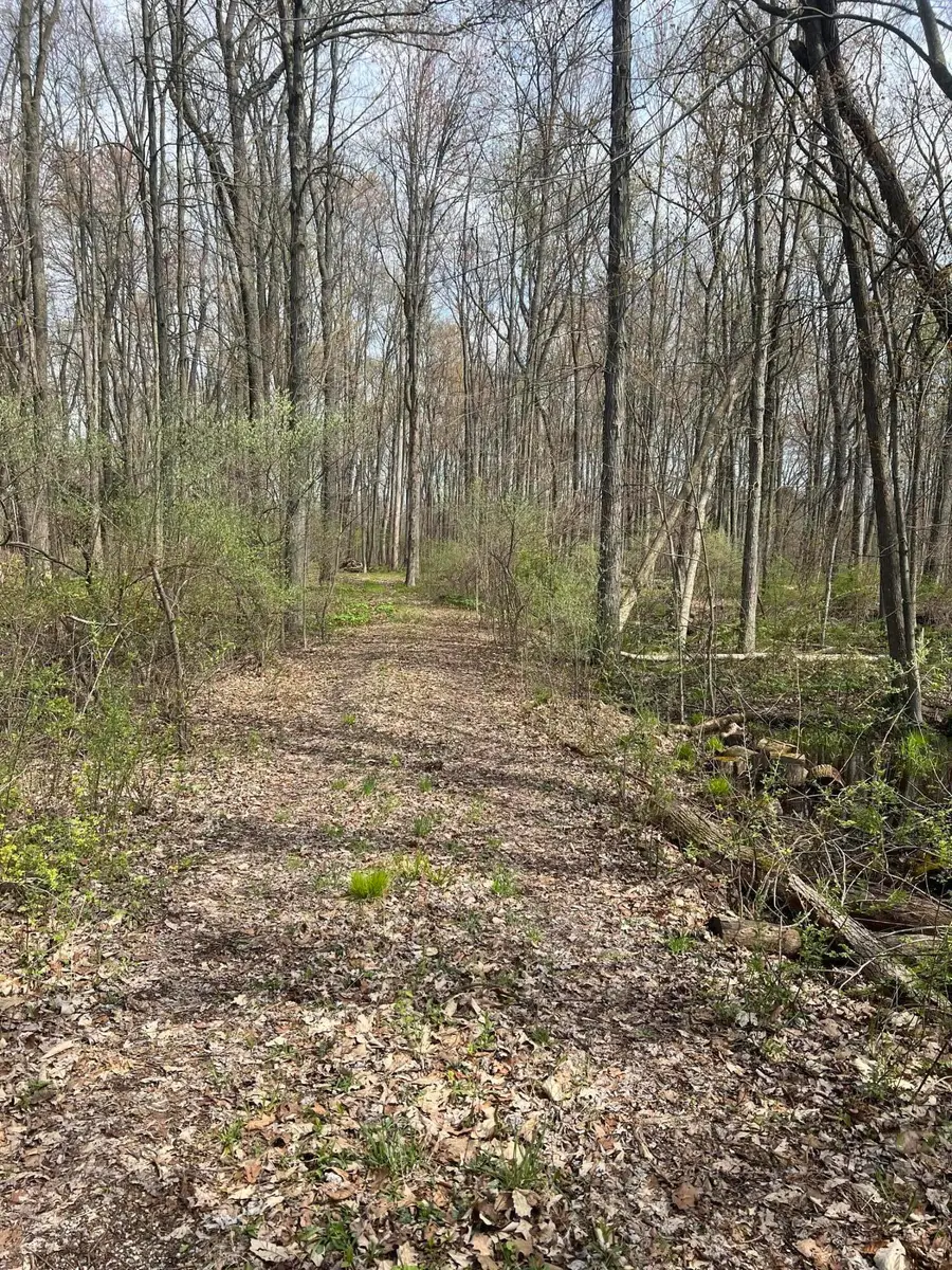 Waterloo Munith Road, Grass Lake, MI 49240 - #2
