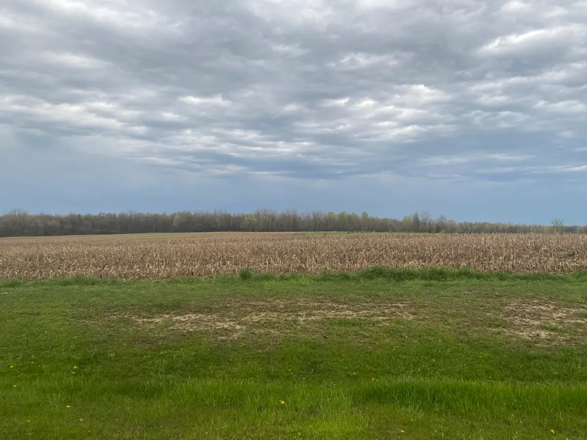 V/L S 16th Avenue, Grand Junction, MI 49056 - #1