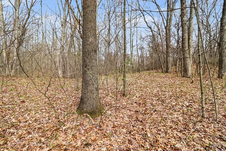 6920 19 Mile Road Ne, Cedar Springs, MI 49319 - #3