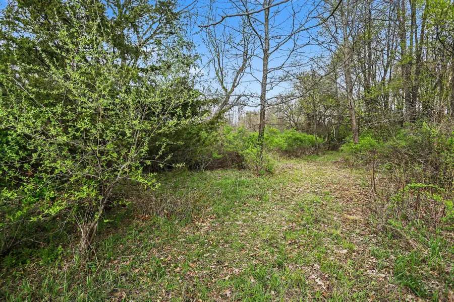 425 Olivet Road Road, Bellevue, MI 49021 - #3