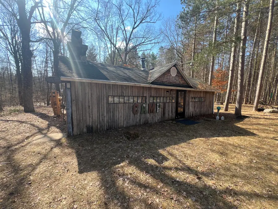 243 W Turkey Lane, White Cloud, MI 49349 - #2