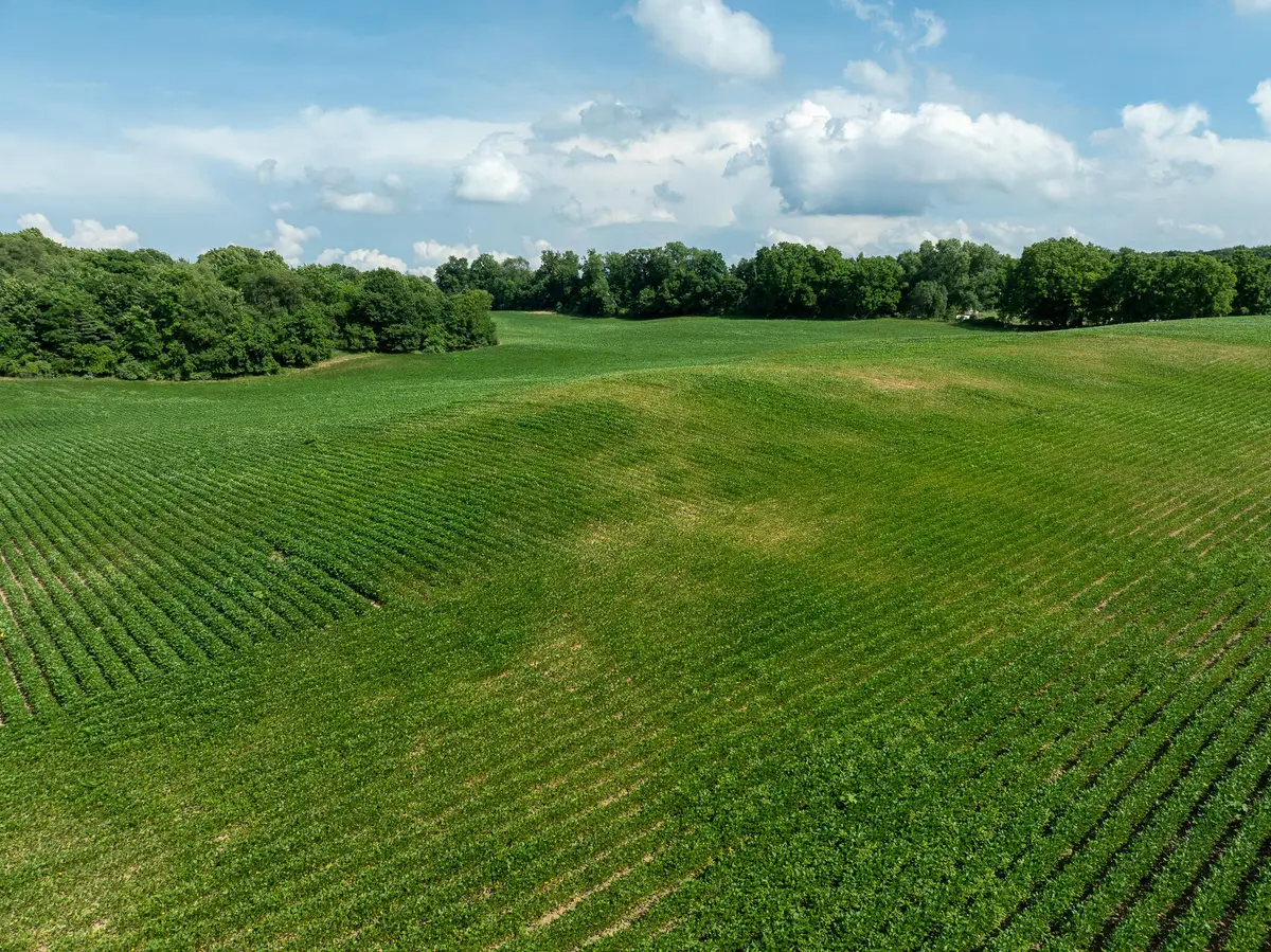 13acres 19th Street, Hopkins, MI 49328 - #1