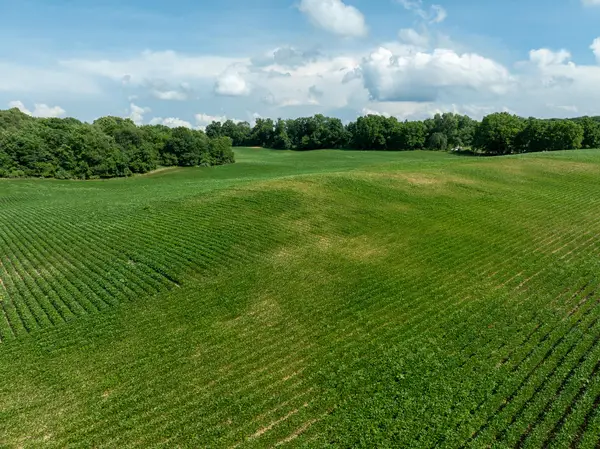 13acres 19th Street, Hopkins, MI 49328