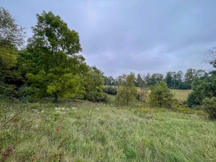 13acres 19th Street, Hopkins, MI 49328 - #3