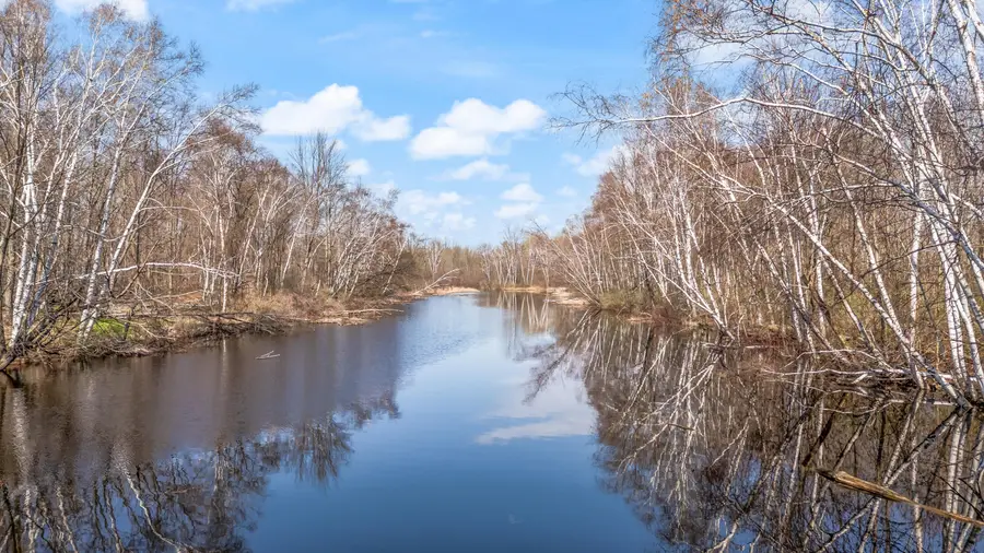 4700 Airstrip Drive, Barryton, MI 49305 - #3