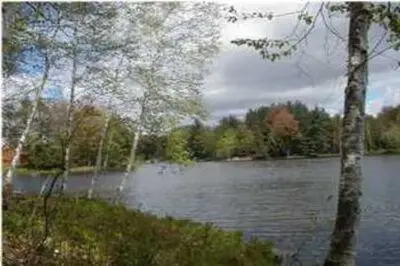 VL Lot 811 Miramichi Drive, Evart, MI 49631 - #1