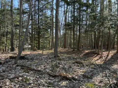 VL Lot 811 Miramichi Drive, Evart, MI 49631 - #3