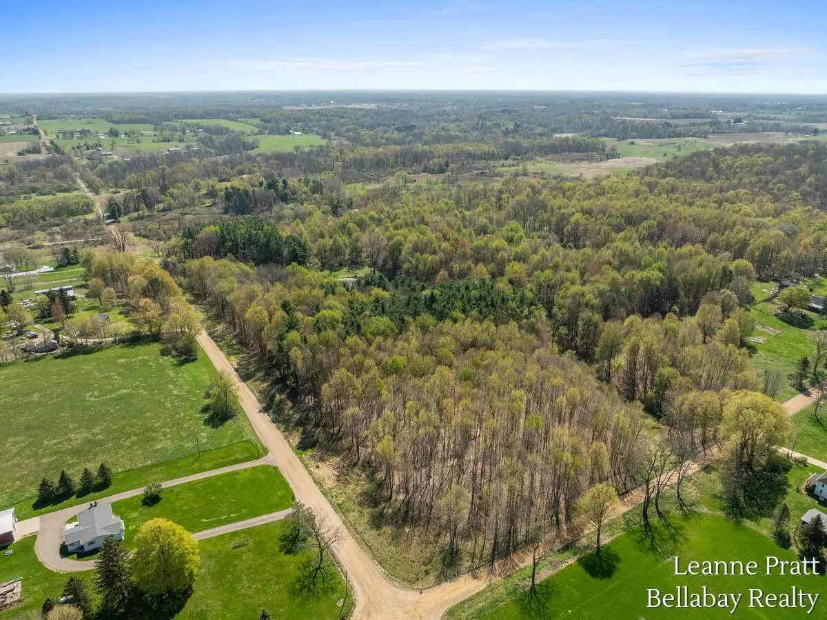VL N Pease Road, Vermontville, MI 49096 - #1