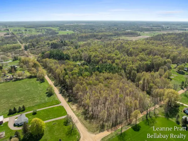 VL N Pease Road, Vermontville, MI 49096