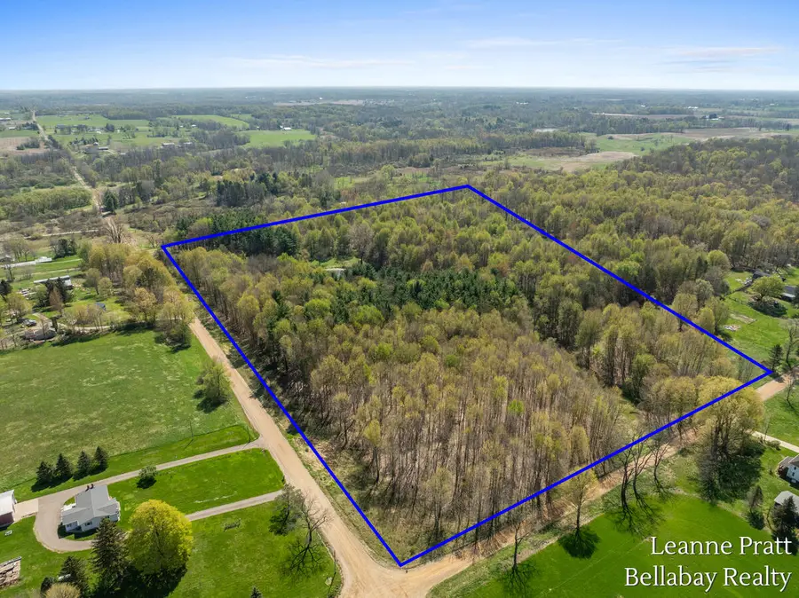 VL N Pease Road, Vermontville, MI 49096 - #2