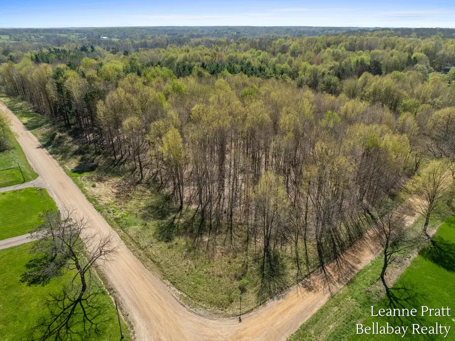 VL N Pease Road, Vermontville, MI 49096 - #3