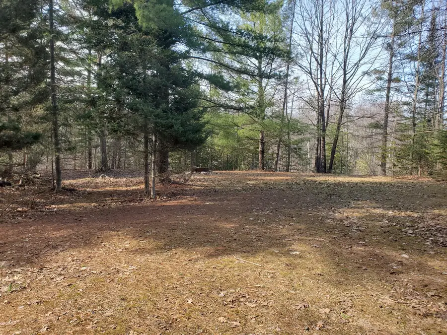 Eagles Nest Way, Gladwin, MI 48624 - #2