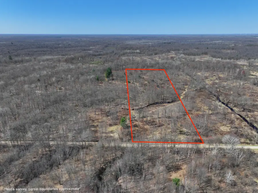 V/L 10A P1 N Magruder Road, Coleman, MI 48618 - #2