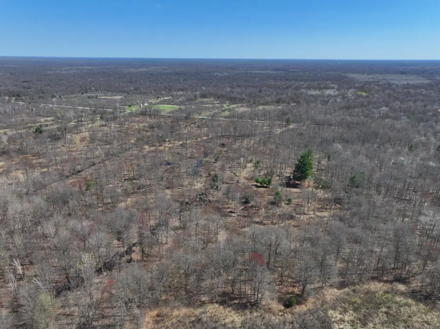 V/L 10A P1 N Magruder Road, Coleman, MI 48618 - #3